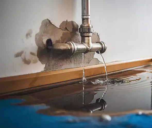 Professional Water Damage Restoration Experts in Suffolk, VA — Fast, Reliable & Certified