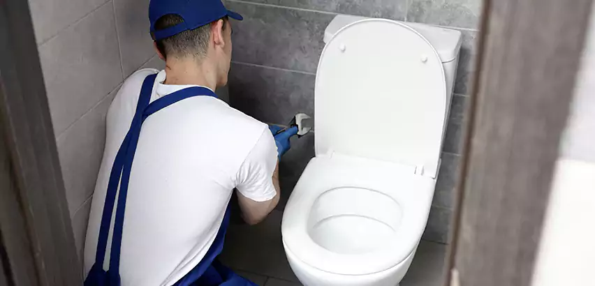Toilet Lid Replacement in Suffolk