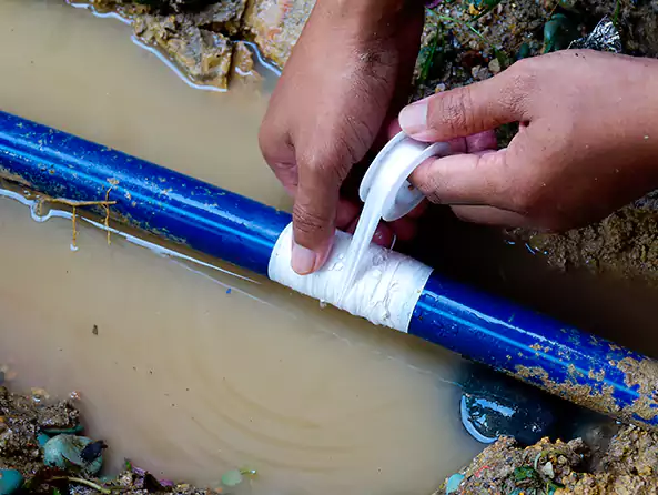  Why Choose Elite Suffolk Plumbing for Leak Detection in Suffolk, VA?]