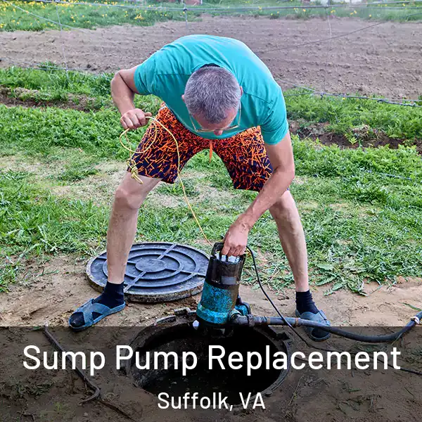  Sump Pump Replacement Suffolk, VA